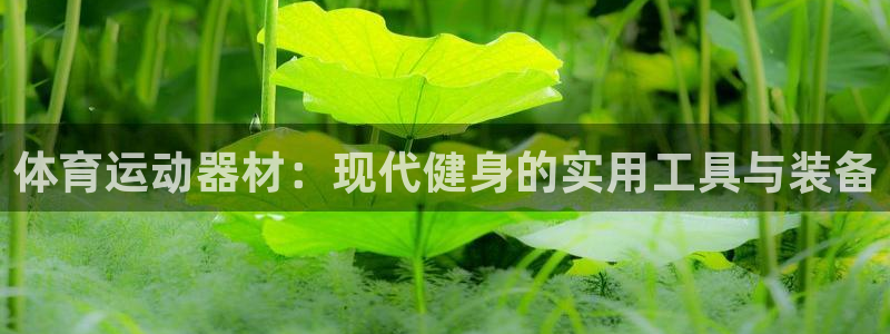 鲸鱼体育直播观看：体育运动器材：现代健身的实用工具与装备